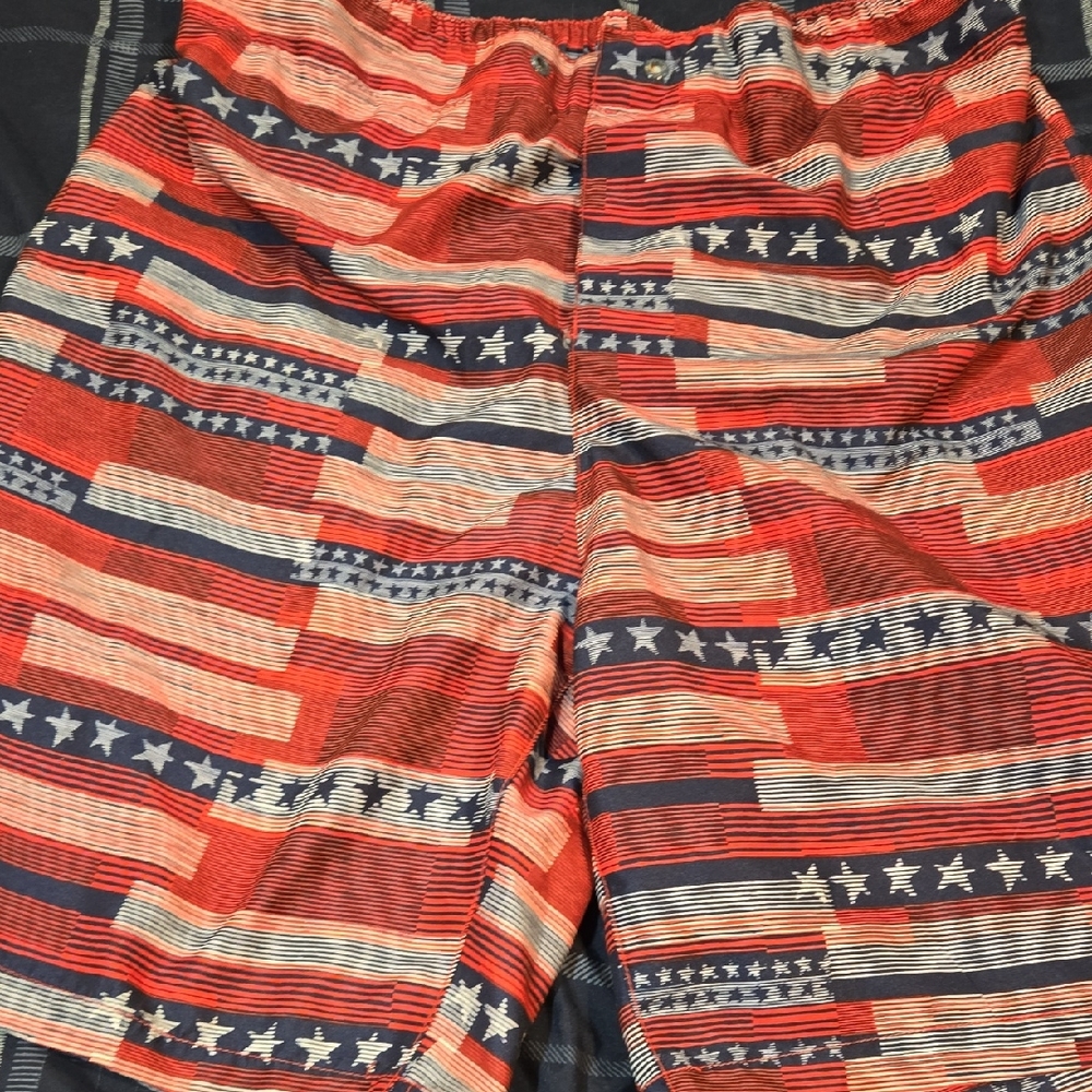 Speedo Stars and Stripes Swim Shorts Mens LARGE